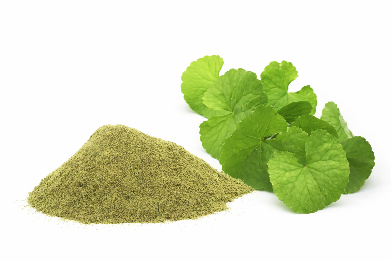 Centenella Asciatica Powder