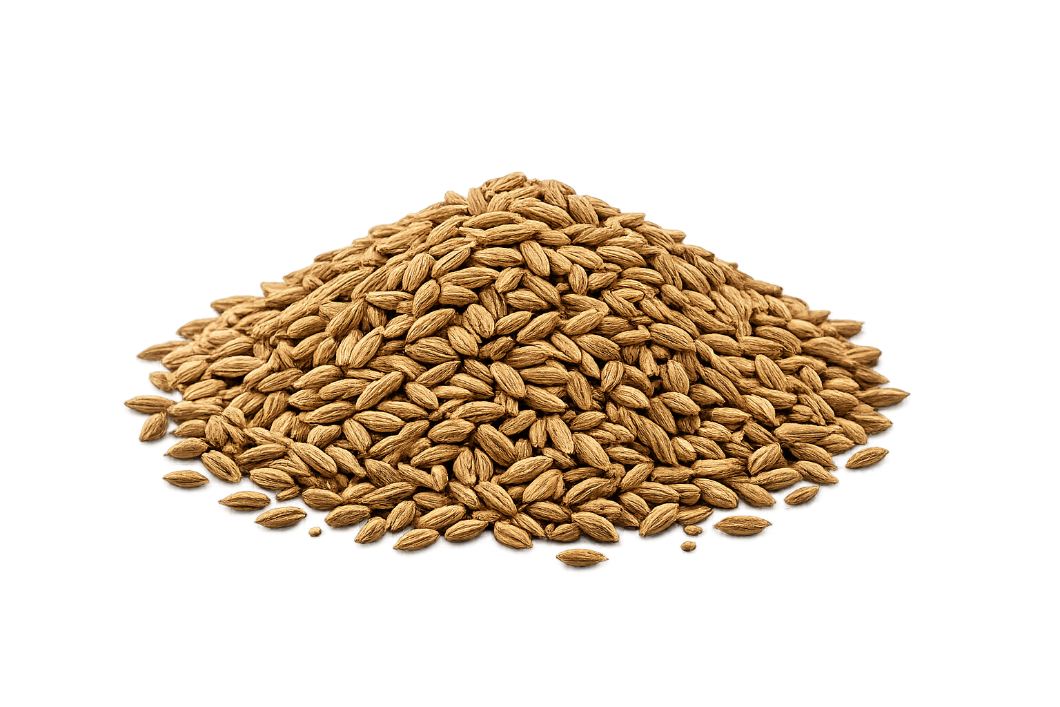 Cumin Seeds