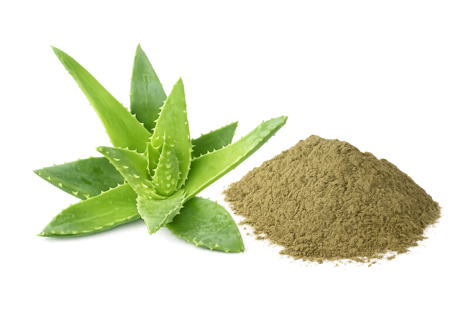 aloe vera powder