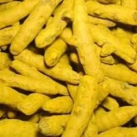 Turmeric-Finger