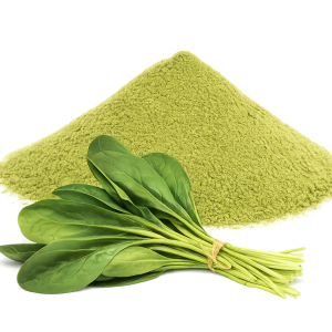 dehydrated spinach leaves powder